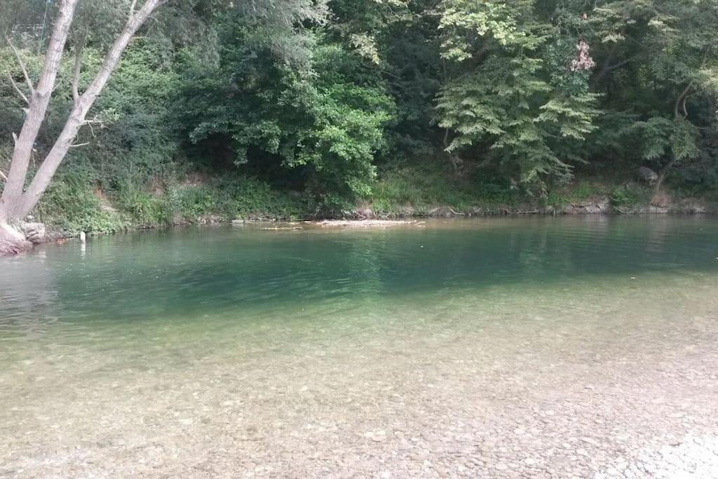 Appart Dans Maison 2 Km De La Plage Villeneuve-Loubet Kültér fotó
